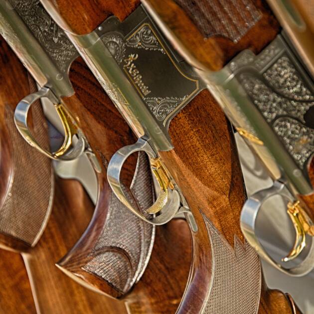 Sample Collectors Gun